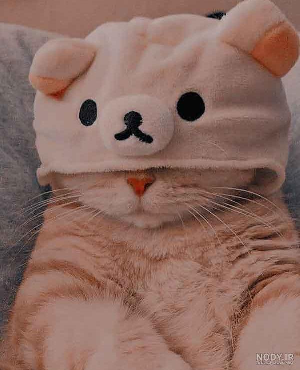 عکس پروفایل دخترونه گربه صورتی عکس پروفایل دخترونه گربه صورتی