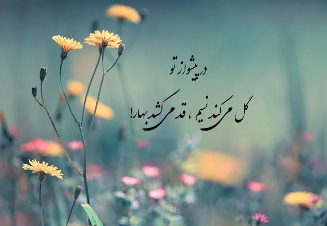 عکس پروفایل عاشقانه بهاری + پیام زیبای عاشقانه فصل بهار عکس پروفایل عاشقانه بهاری + پیام زیبای عاشقانه فصل بهار
