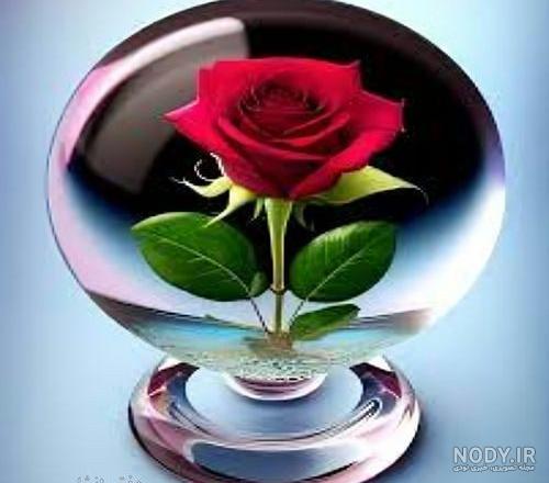 عکس گل برای پروفایل دخترونه + عکس گل برای پروفایل عاشقانه عکس گل برای پروفایل دخترونه + عکس گل برای پروفایل عاشقانه