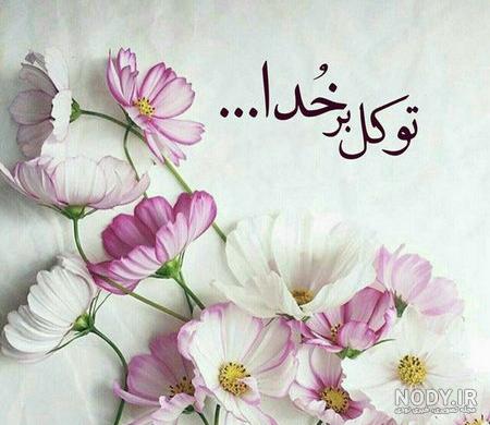 عکس گل برای پروفایل شاد دخترونه شیک عکس گل برای پروفایل شاد دخترونه شیک
