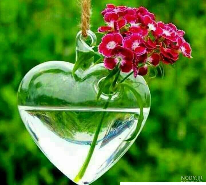 عکس گل قشنگ و زیبا