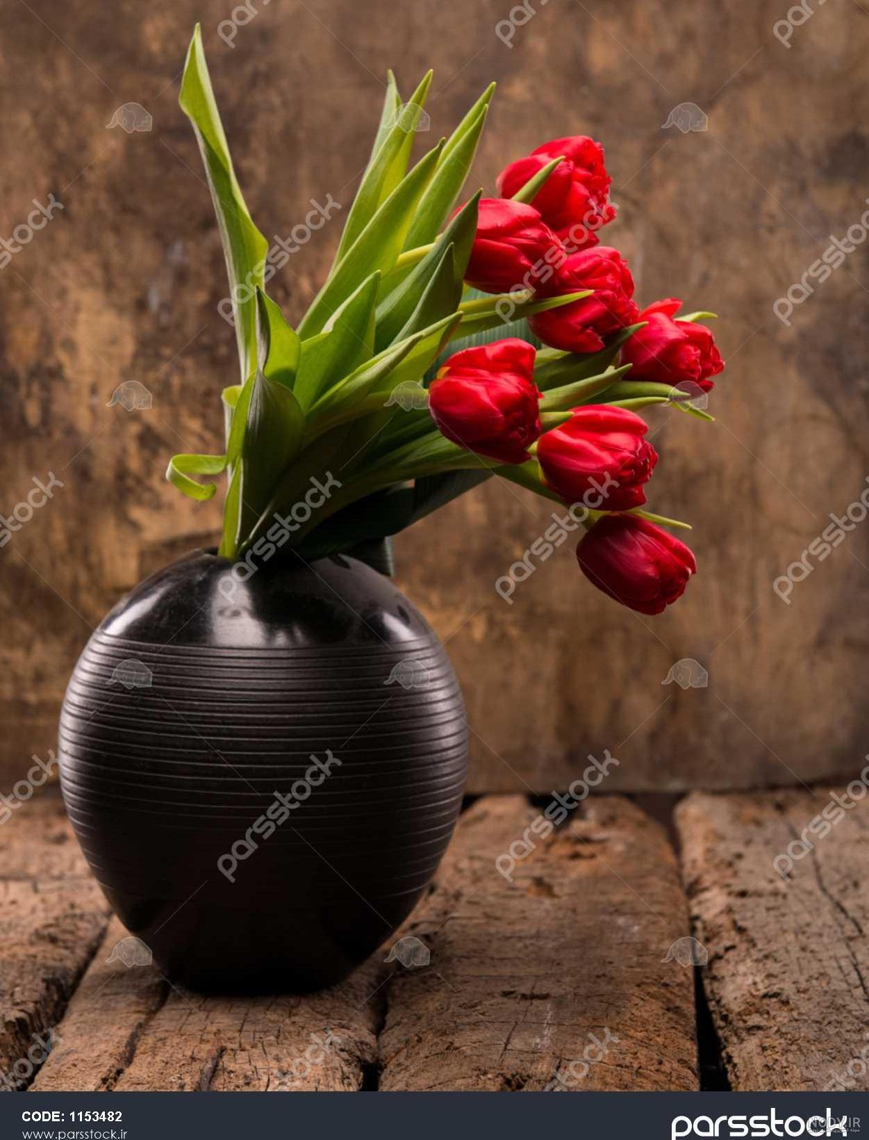 عکس گل لاله سیاه و سفید عکس گل لاله سیاه و سفید