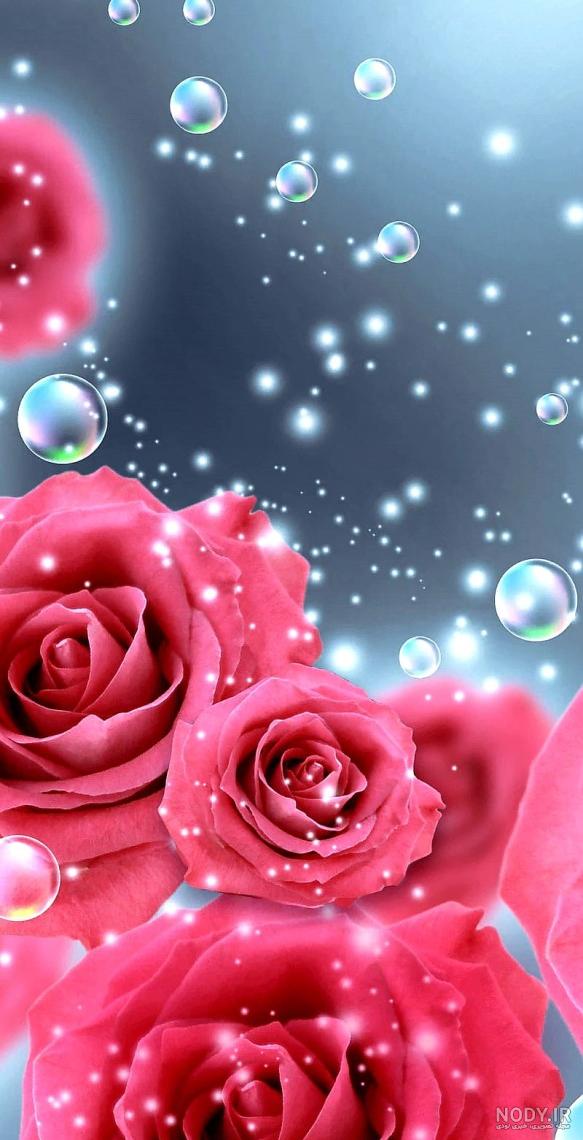 عکس گلهای طبیعی جهان - عکس نودی