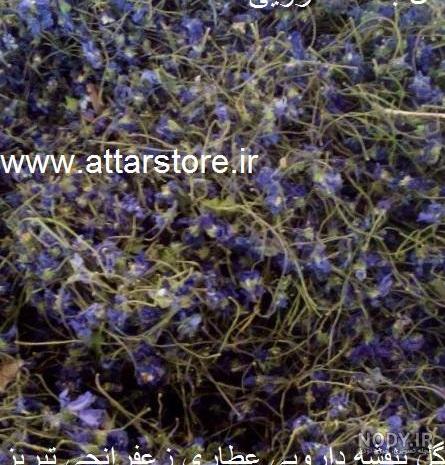 فواید روغن بنفشه کوهی برای پوست و مو | طرز تهیه روغن بنفشه در خانه | دخترانه