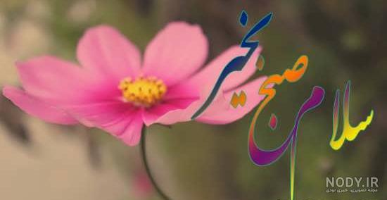 متن و جملات سلام صبح بخیر بهاری + صبحت بخیر زیبا برای همسر و دوستان