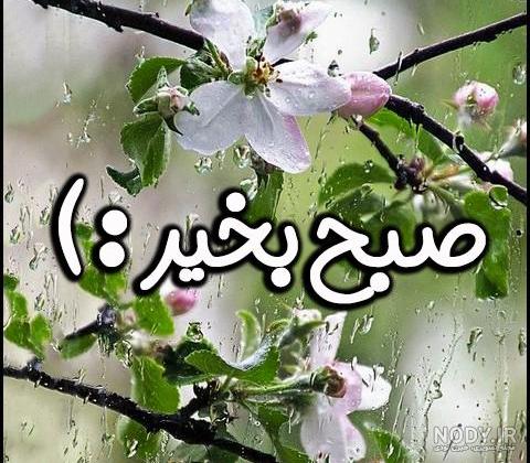 متن و جملات سلام صبح بخیر بهاری + صبحت بخیر زیبا برای همسر و دوستان