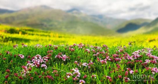 منظره عکس طبیعت بهاری با کیفیت بالا