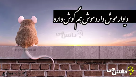 کامل ترین مطلب درباره تفاوت انواع موش ها و رت های آزمایشگاهی + عکس ، ویدیو  و [PDF]
