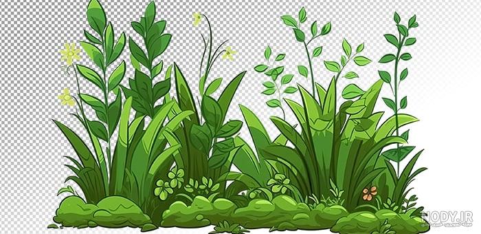 50 عکس شکوفه گیلاس بهاری با کیفیت بسیار بالا