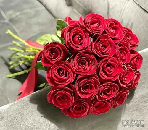 85 عکس گل رز با رنگ های زیبا و خاص