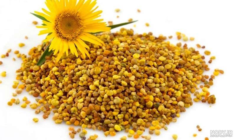 10 فایده مصرف گرده گل - خواص گرده گلها برای سلامتی