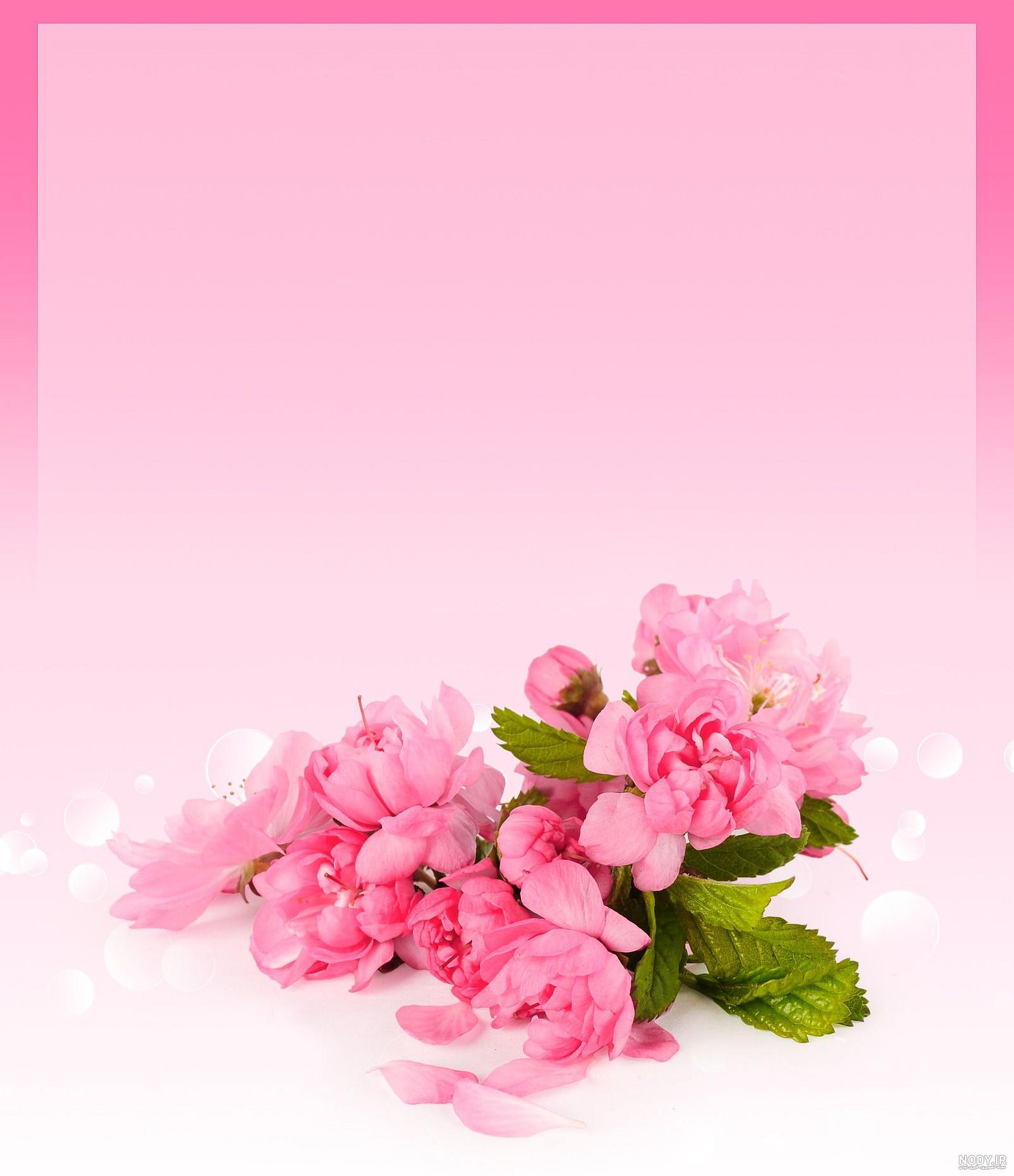 25 کادر زیبا برای نوشتن متن ideas | powerpoint background design, floral  wallpaper iphone, background for powerpoint presentation