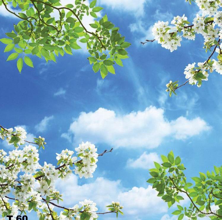 آسمان مجازی سقف کشسان آسمان مجازی سقف کشسان