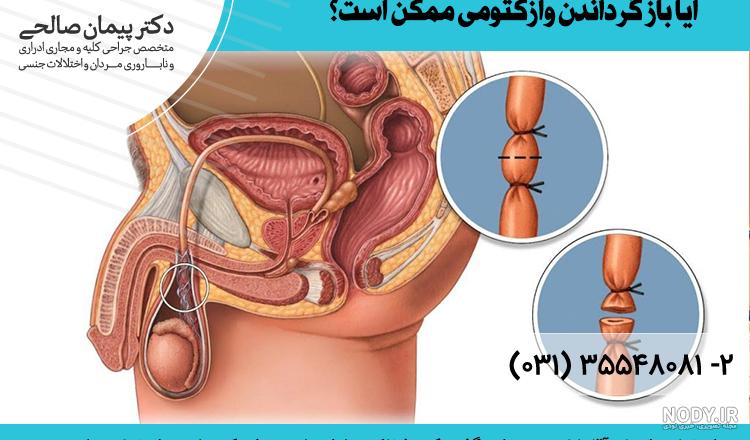 تعبیر خواب بچه دار شدن امام صادق + دختر مجرد از حضرت یوسف تعبیر خواب بچه دار شدن امام صادق + دختر مجرد از حضرت یوسف