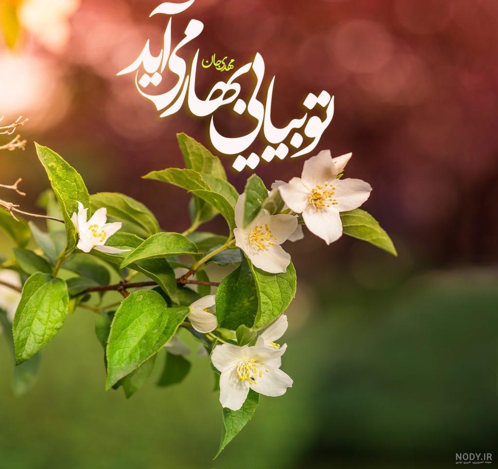 تقارن ماه مبارک رمضان بهار قرآن و عید نورزو بهار طبیعت مبارک باد.