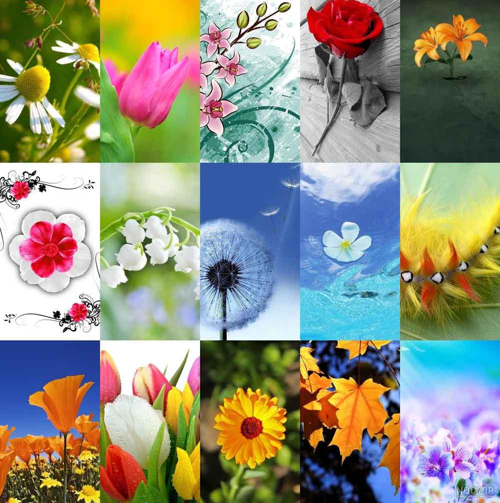 دانلود تصویر زمینه اپل با جدیدترین طرح های سال 2018 - سری اول
