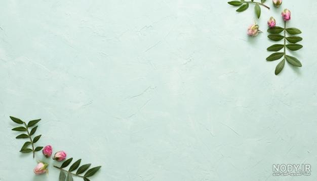 دانلود وکتور کادر گل سبز برای متن 001