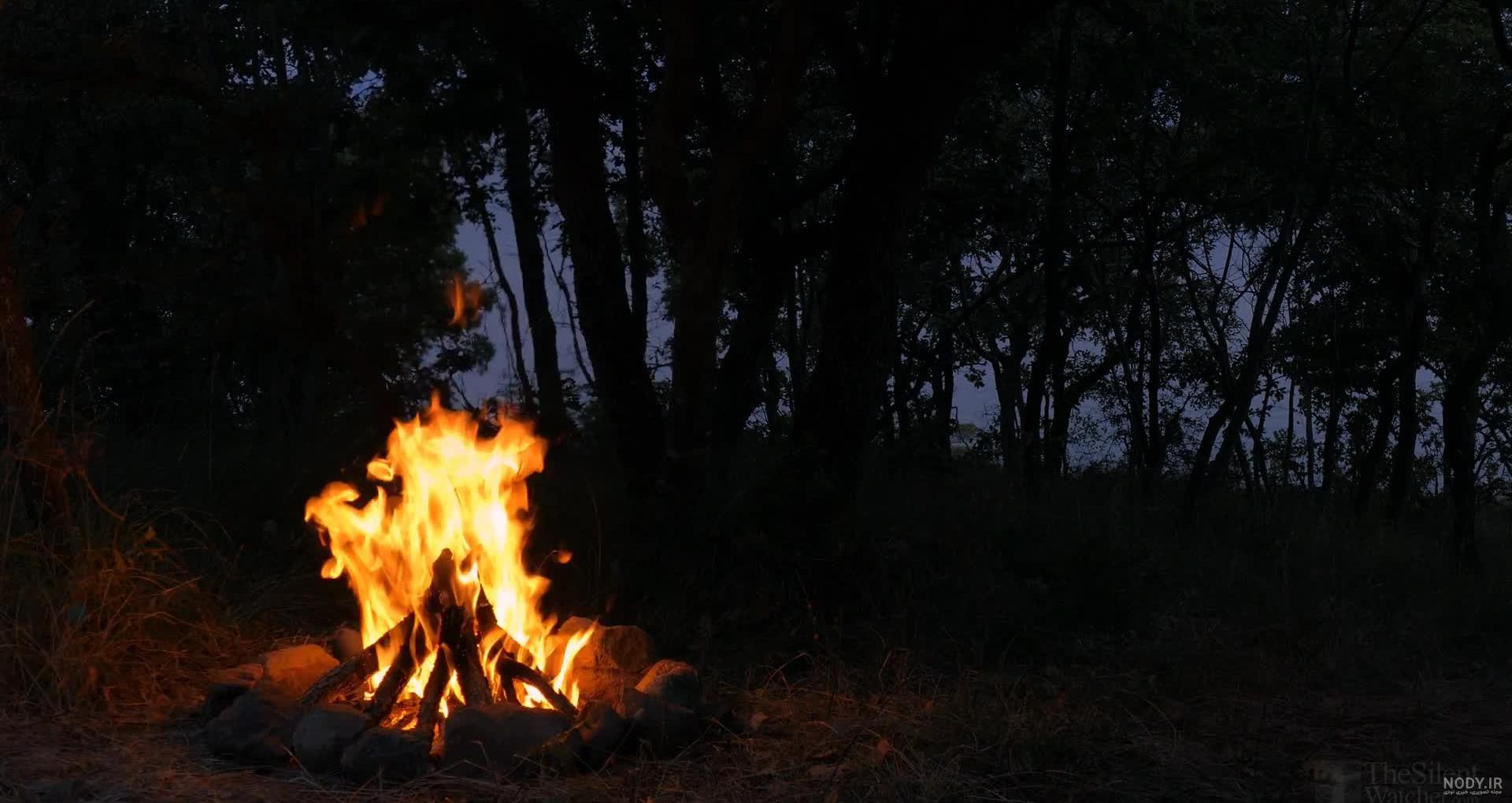 شب نشینی در طبیعت