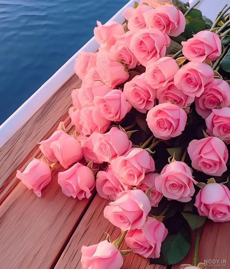 عکس انواع گل رز در رنگ های مختلف