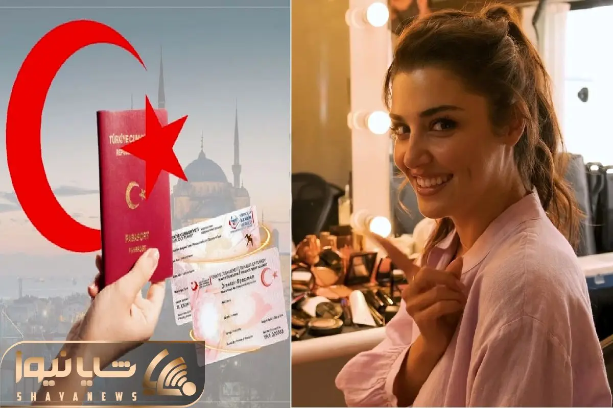 عکس با کیفیت تیکت ها به همراه دو پاسپورت - نمایشگاه هنر ایران