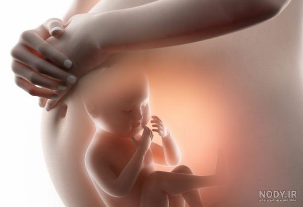 عکس جنین - عکاسی به سبک حالت جنین در شکم مادر عکس جنین - عکاسی به سبک حالت جنین در شکم مادر