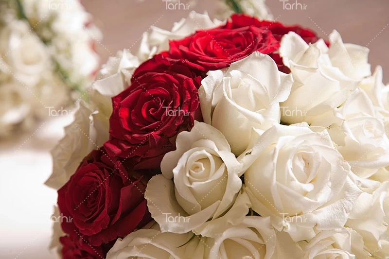 عکس دسته گل عروس قرمز و سفید
