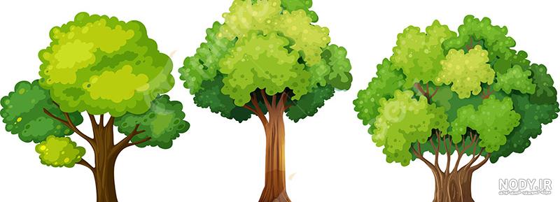 عکس شکوفه کارتونی - عکس نودی