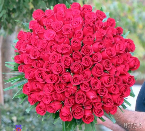 عکس پروفایل اینستاگرام دخترونه گل رز به همراه حلقه های ازدواج – 123گرافیک