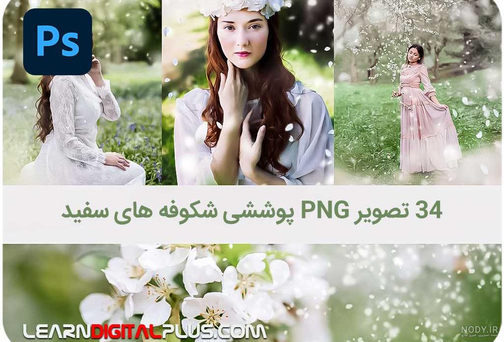 عکس پروفایل بهاری زیبا و با بهترین کیفیت | جدول یاب