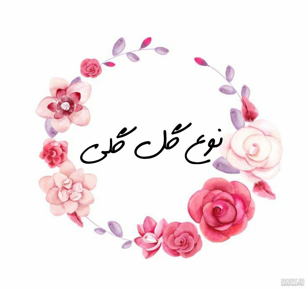 عکس پروفایل گل های زیبا و عاشقانه با کیفیت بالا