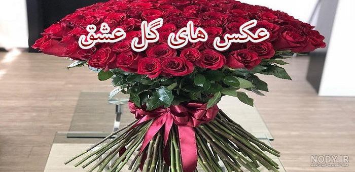 عکس پروفایل گل های زیبا و عاشقانه با کیفیت بالا عکس پروفایل گل های زیبا و عاشقانه با کیفیت بالا