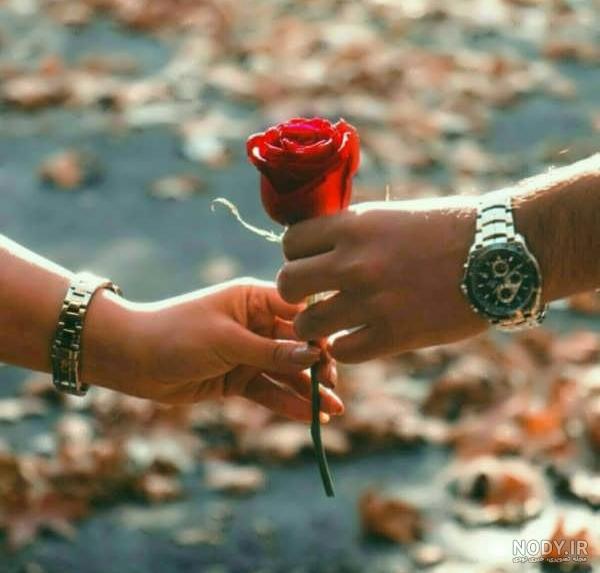 عکس پروفایل گل عاشقانه زیبا از شاخه رز تا نرگس 120 تصویر با کیفیت! عکس پروفایل گل عاشقانه زیبا از شاخه رز تا نرگس 120 تصویر با کیفیت!