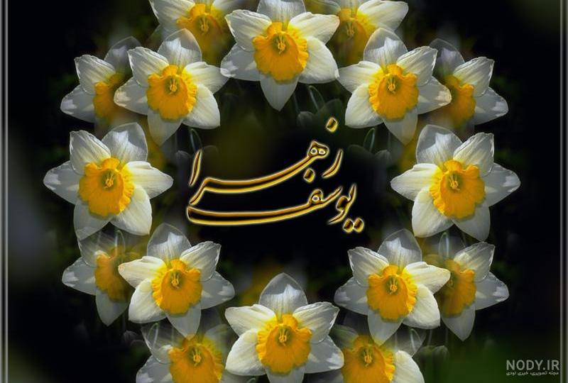 عکس گل امام زمانی