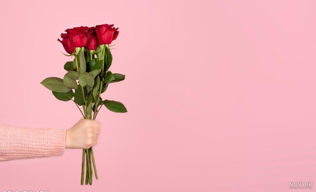 عکس گل رز تصویر زمینه - عکس نودی