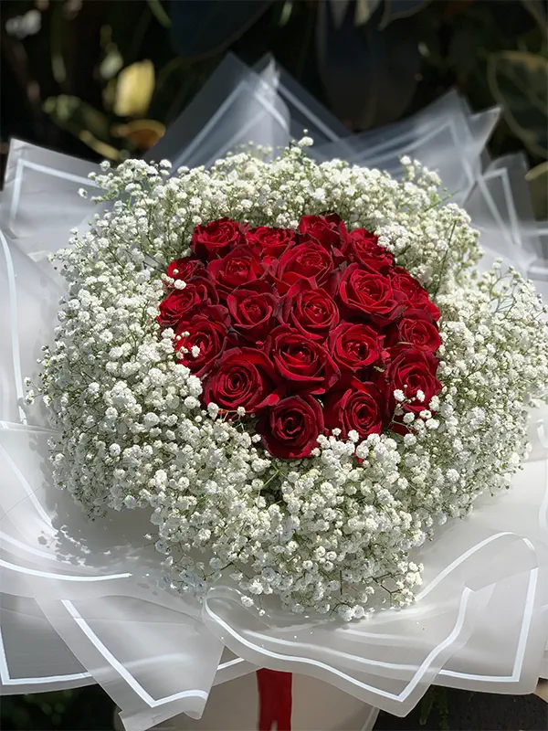 عکس گل رز سفید و قرمز برای پروفایل