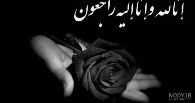 عکس گل رز مشکی زیبا برای پروفایل + تصاویر 30 گل زیبای رز عاشقانه سیاه عکس گل رز مشکی زیبا برای پروفایل + تصاویر 30 گل زیبای رز عاشقانه سیاه