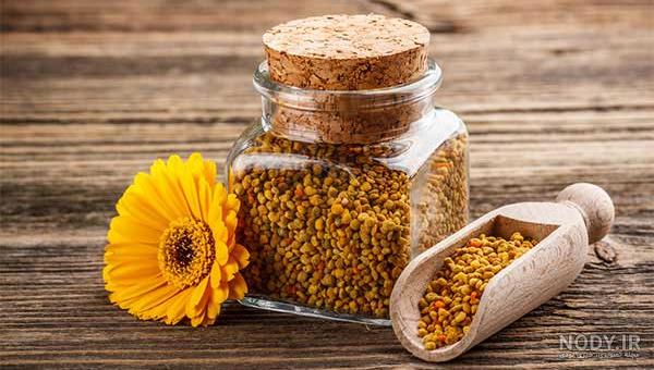 مشرق نیوز - عکس/ جمع آوری گرده توسط زنبور عسل