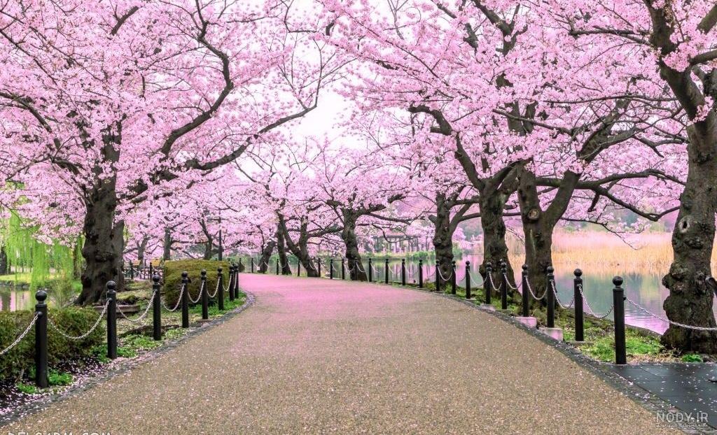 مشرق نیوز - عکس/ طبیعت زیبای بهاری خوانسار