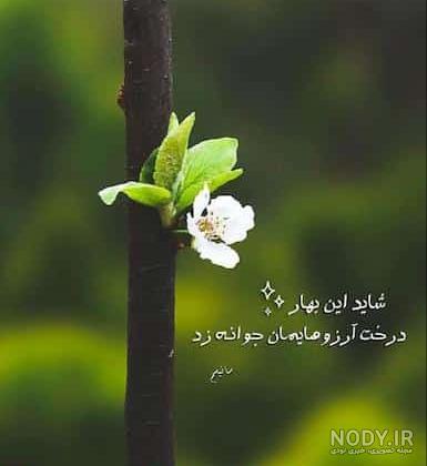 ناب ترین جملات و متن های زیبای بهارانه و بهاری برای کپشن اینستاگرام