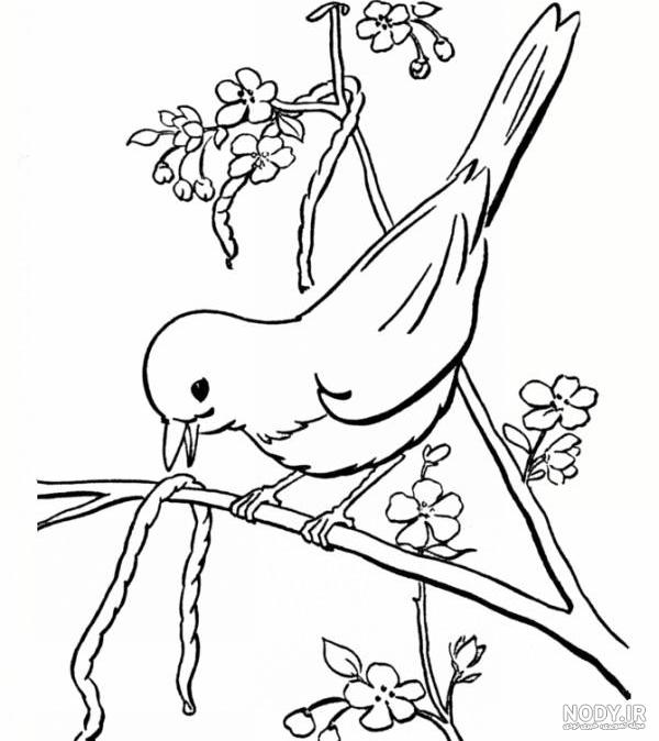 نقاشی طبیعت کودکانه؛ ۷۰ نقاشی ساده و جذاب برای کودکان - ستاره نقاشی طبیعت کودکانه؛ ۷۰ نقاشی ساده و جذاب برای کودکان - ستاره