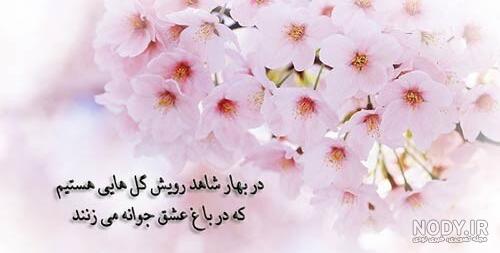 نمونه پیامک و شعر در مورد بهار
