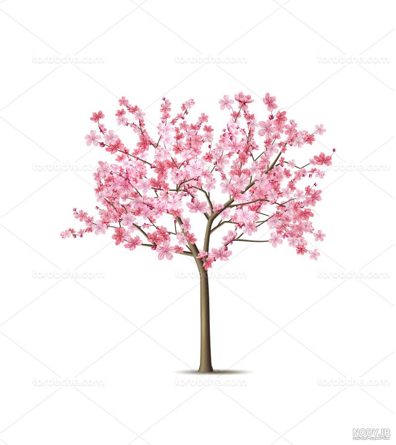 نوع درخت شامل درخت سبز درخت ساکورا درخت کارتونی و درخت افرا است 1076328