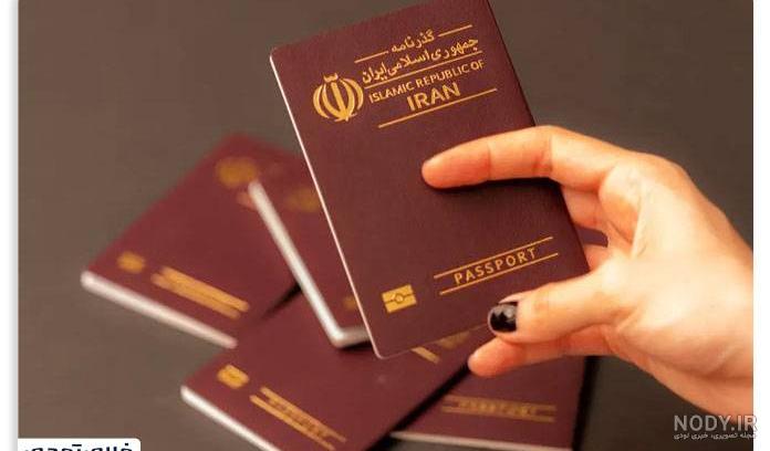 نکات مهم در رابطه با عکس پاسپورت که باید بدانید - عکس نایت
