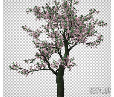 وکتور درخت صورتی بهاری برای تقویم