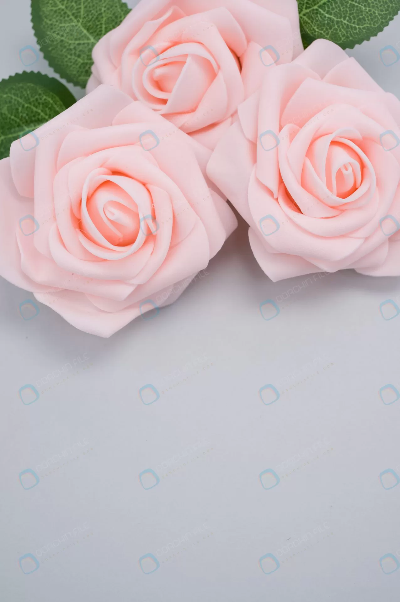 گالری عکس گل رز صورتی بسیار زیبا و تماشایی