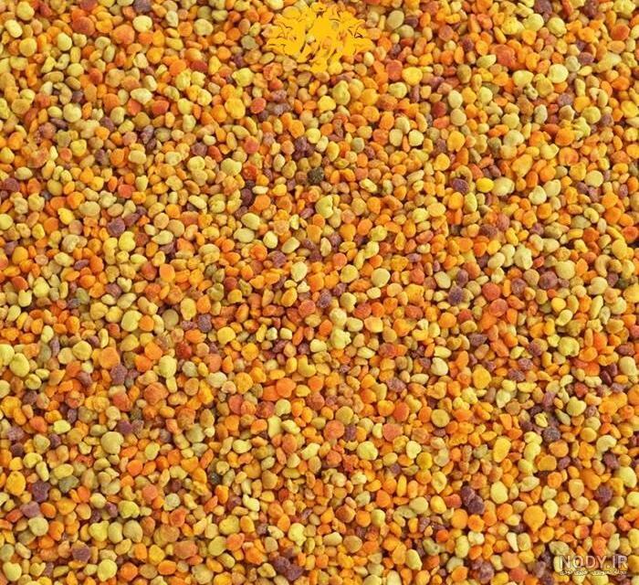 گرده گل اصل 50 گرمی