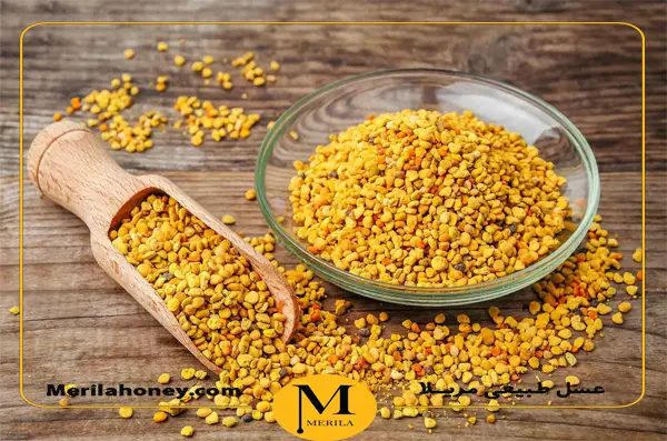 گرده گل عکس با کیفیت گرده گل و وکتور لایه باز گرده گل پارس استاک | شاتر  استوک پارسی