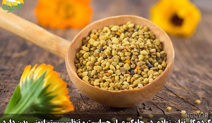 گرده گل چیست؟ 10 مورد از مهم ترین خواص و روش های مصرف دارویی