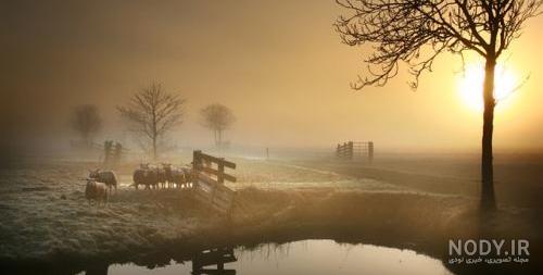 عکس خفن عکس غروب تنهایی