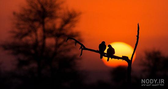 عکس غروب دریا غمگین